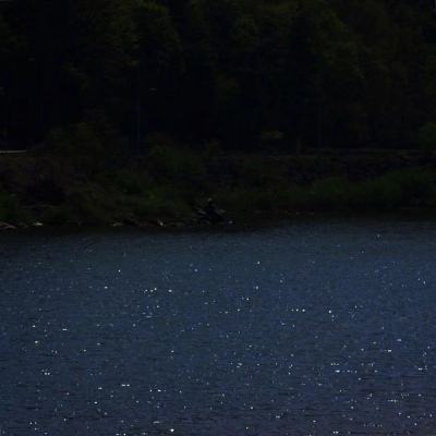 博鱼app下载(中国)官方网站