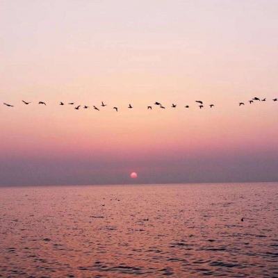 开云电竞下载手机版