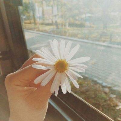 火狐体育下载appapp下载