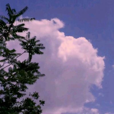 pg棋牌软件平台官方版下载